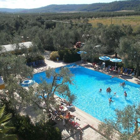Appartamenti Gallo Club Vieste Bagian luar foto