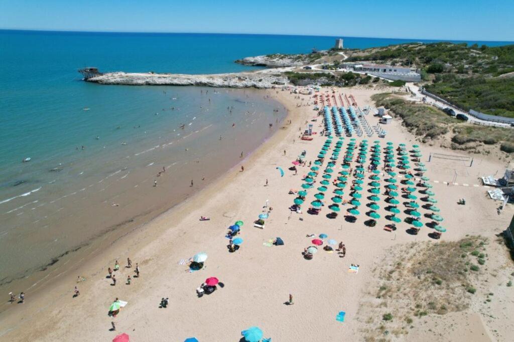 Appartamenti Gallo Club Vieste Bagian luar foto